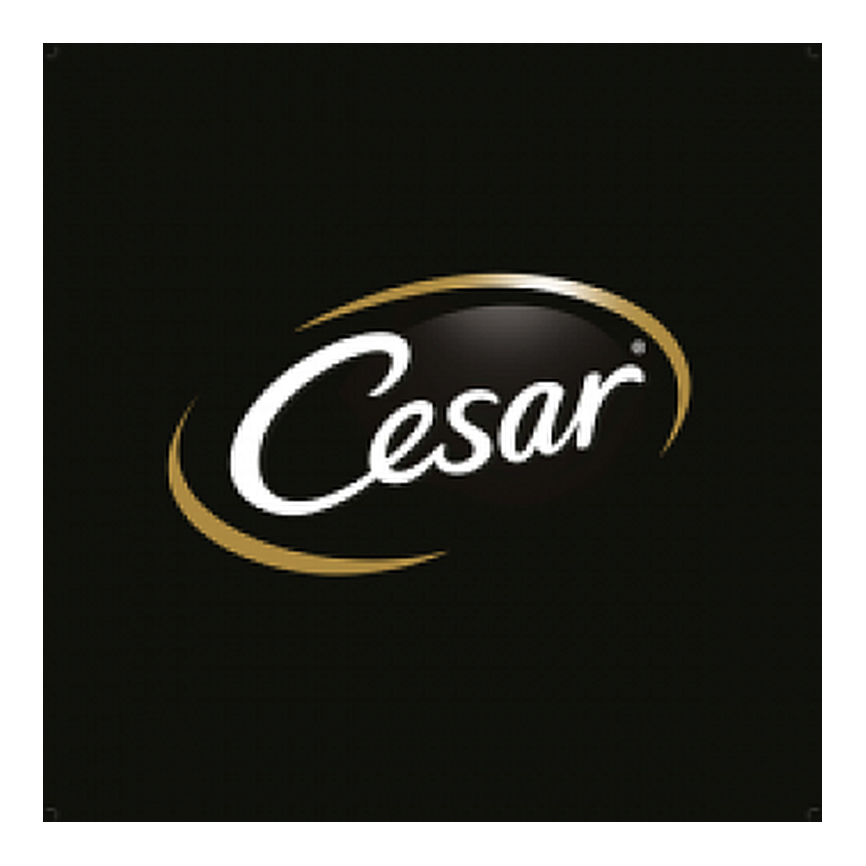 CESAR